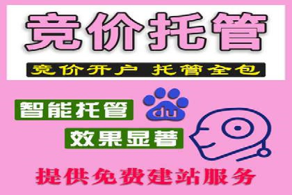 sem竞价托管代运营的实战技巧与案例